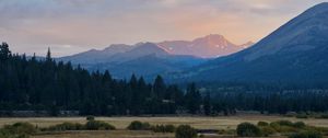 Preview wallpaper mountains, trees, bushes, grass, distance