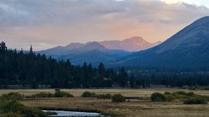 Preview wallpaper mountains, trees, bushes, grass, distance