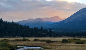 Preview wallpaper mountains, trees, bushes, grass, distance