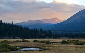 Preview wallpaper mountains, trees, bushes, grass, distance