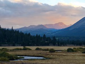 Preview wallpaper mountains, trees, bushes, grass, distance