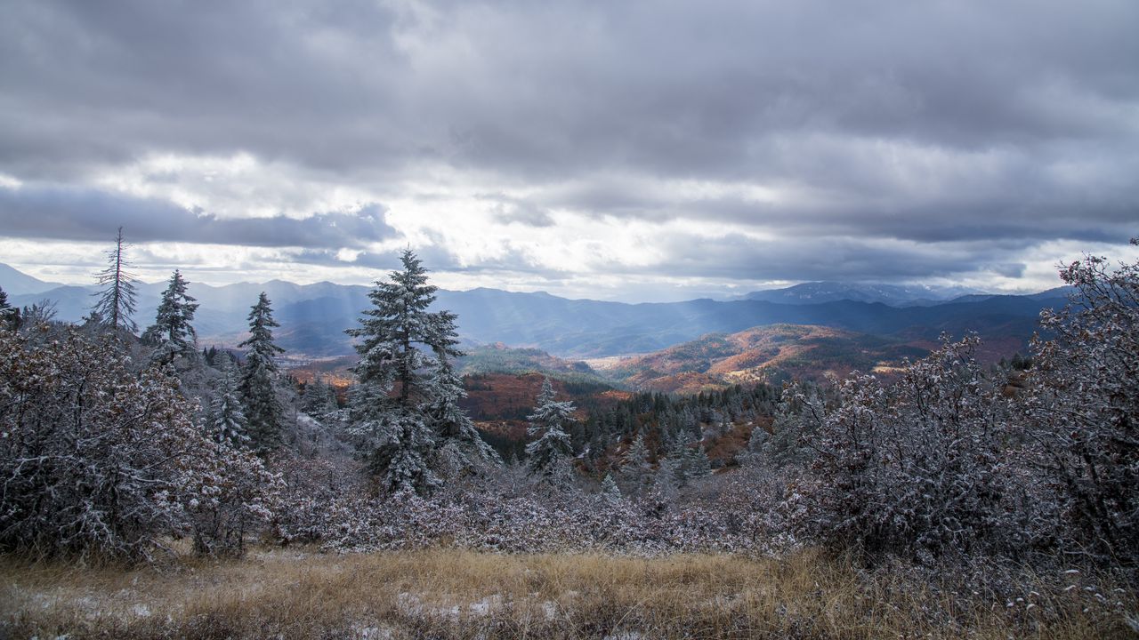 Wallpaper mountains, trees, bushes, snow, nature
