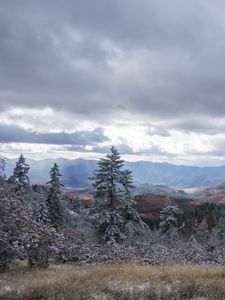 Preview wallpaper mountains, trees, bushes, snow, nature