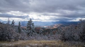 Preview wallpaper mountains, trees, bushes, snow, nature