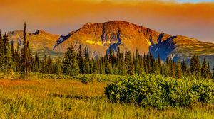 Preview wallpaper mountains, trees, bushes, grass, landscape