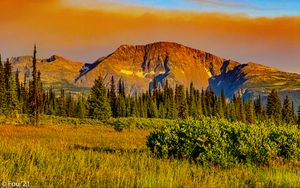 Preview wallpaper mountains, trees, bushes, grass, landscape