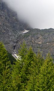 Preview wallpaper mountains, trees, cloud, fog, nature