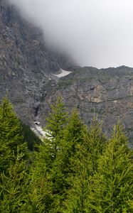 Preview wallpaper mountains, trees, cloud, fog, nature