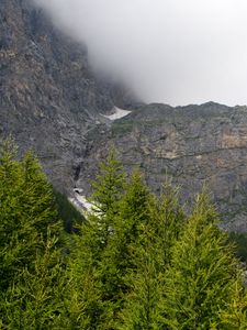 Preview wallpaper mountains, trees, cloud, fog, nature