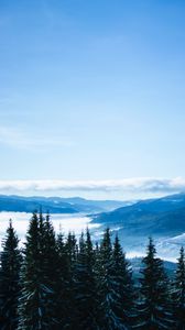 Preview wallpaper mountains, trees, clouds, forest, panorama, bukovel, ukraine