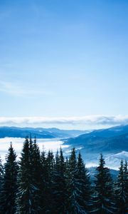 Preview wallpaper mountains, trees, clouds, forest, panorama, bukovel, ukraine