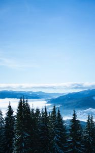 Preview wallpaper mountains, trees, clouds, forest, panorama, bukovel, ukraine