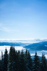 Preview wallpaper mountains, trees, clouds, forest, panorama, bukovel, ukraine