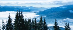 Preview wallpaper mountains, trees, clouds, forest, panorama, bukovel, ukraine