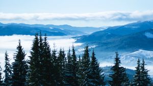 Preview wallpaper mountains, trees, clouds, forest, panorama, bukovel, ukraine