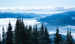 Preview wallpaper mountains, trees, clouds, forest, panorama, bukovel, ukraine