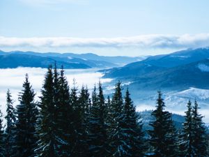 Preview wallpaper mountains, trees, clouds, forest, panorama, bukovel, ukraine