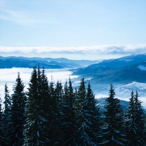 Preview wallpaper mountains, trees, clouds, forest, panorama, bukovel, ukraine