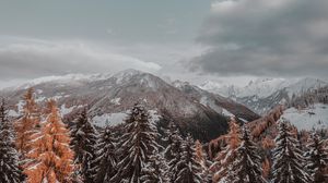 Preview wallpaper mountains, trees, clouds, landscape, snowy