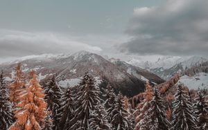 Preview wallpaper mountains, trees, clouds, landscape, snowy