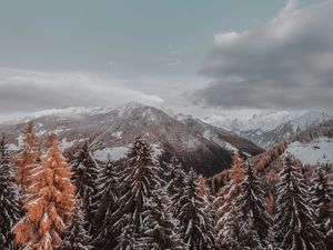 Preview wallpaper mountains, trees, clouds, landscape, snowy