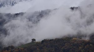Preview wallpaper mountains, trees, clouds, fog, landscape