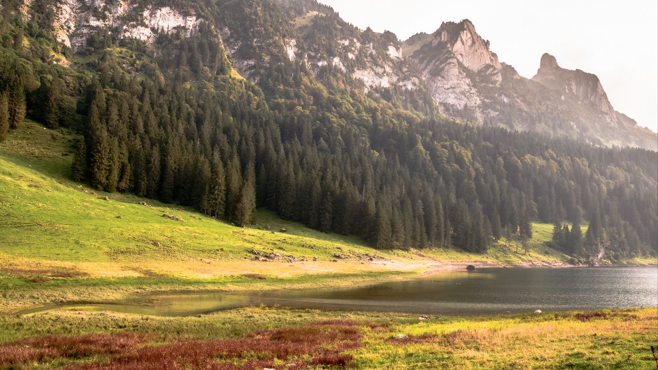 Wallpaper mountains, trees, coast, river, nature