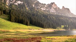 Preview wallpaper mountains, trees, coast, river, nature