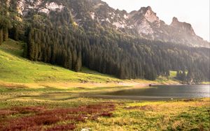 Preview wallpaper mountains, trees, coast, river, nature