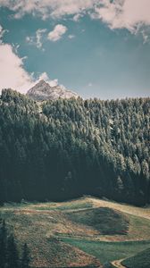 Preview wallpaper mountains, trees, commune, predoi, italy