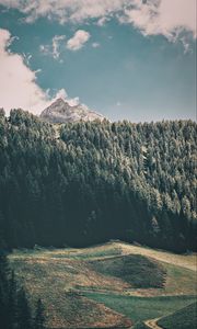 Preview wallpaper mountains, trees, commune, predoi, italy