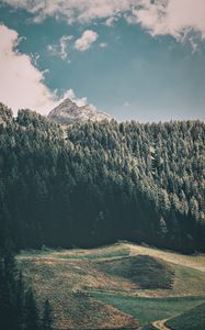 Preview wallpaper mountains, trees, commune, predoi, italy