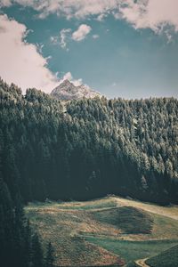 Preview wallpaper mountains, trees, commune, predoi, italy