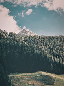 Preview wallpaper mountains, trees, commune, predoi, italy