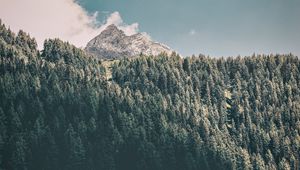 Preview wallpaper mountains, trees, commune, predoi, italy