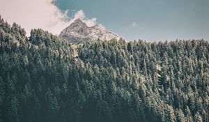 Preview wallpaper mountains, trees, commune, predoi, italy