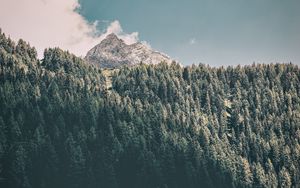 Preview wallpaper mountains, trees, commune, predoi, italy