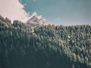 Preview wallpaper mountains, trees, commune, predoi, italy