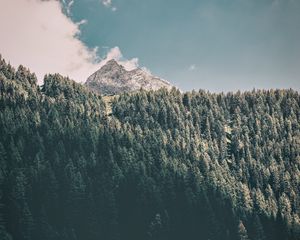 Preview wallpaper mountains, trees, commune, predoi, italy