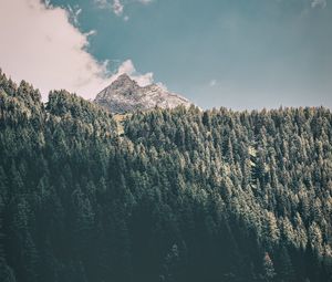 Preview wallpaper mountains, trees, commune, predoi, italy