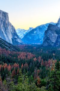 Preview wallpaper mountains, trees, distance, sky