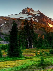 Preview wallpaper mountains, trees, eating, nature, landscape