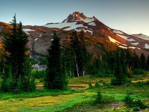 Preview wallpaper mountains, trees, eating, nature, landscape