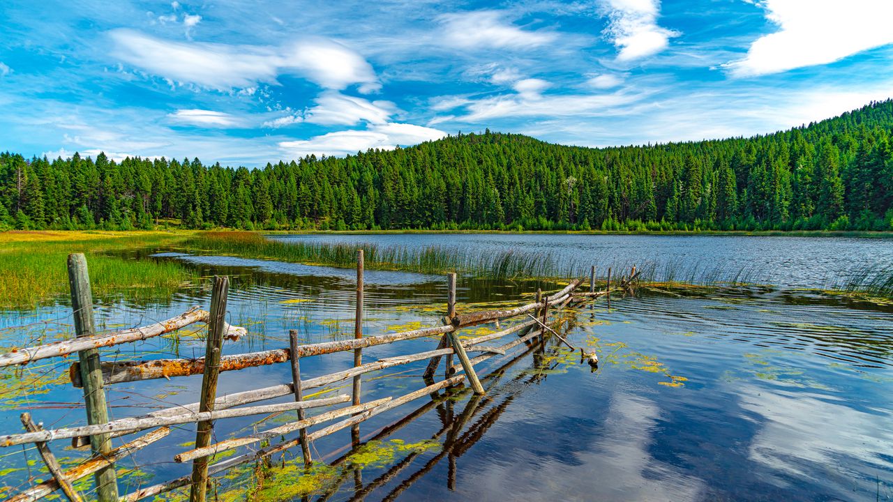 Wallpaper mountains, trees, fence, lake