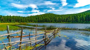 Preview wallpaper mountains, trees, fence, lake
