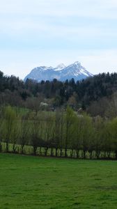 Preview wallpaper mountains, trees, field, landscape, nature