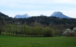 Preview wallpaper mountains, trees, field, landscape, nature
