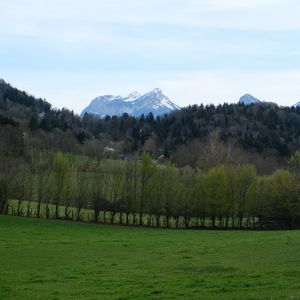Preview wallpaper mountains, trees, field, landscape, nature