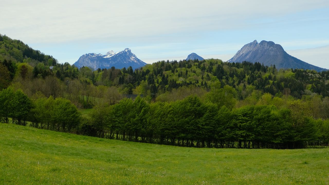 Wallpaper mountains, trees, field, landscape
