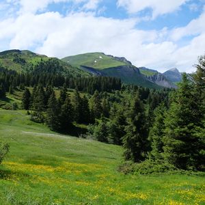 Preview wallpaper mountains, trees, field, nature